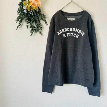 아베크롬비 앤 피치 트레이닝복 맨투맨 / 그레이 M 사이즈