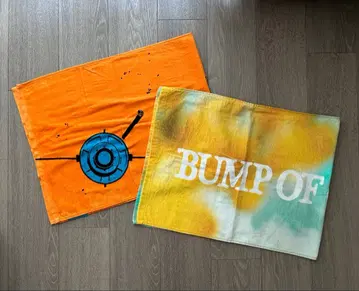 BUMP OF CHICKEN 투어 타월 2세트