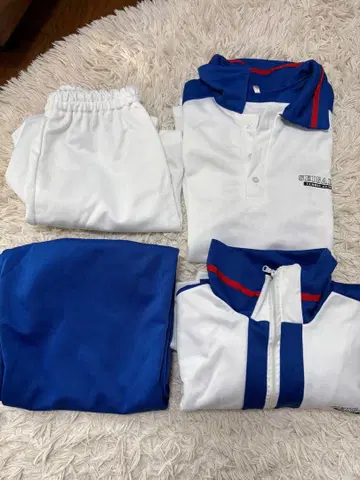 테니스의 왕자님 세이가쿠 저지 유니폼