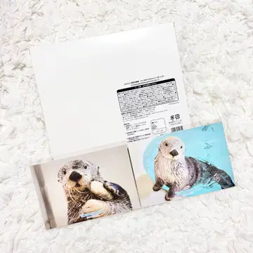 캡슐 복권 토바 수족관 랏코 메이짱 복권 키라짱 A상 E상