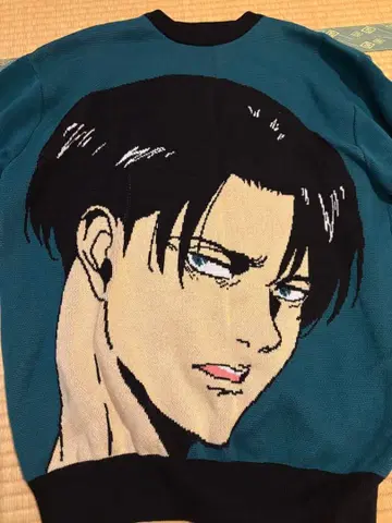 진격의 거인 리바이 니트