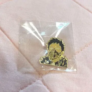 히로아카 오버홀 치사키 카이 핀즈