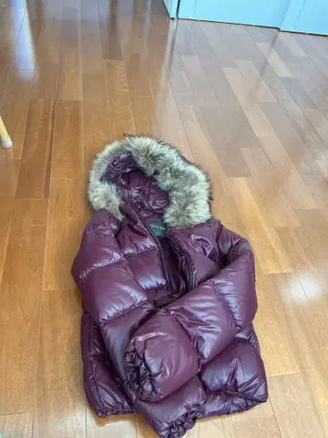 DUVETICA 버건디 다운 자켓 38