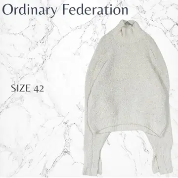 오디너리 페더레이션 심플 캐주얼 하이넥 니트 LL