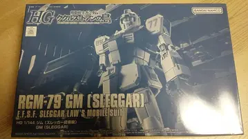 HG 짐 (슬레거 탑승기)