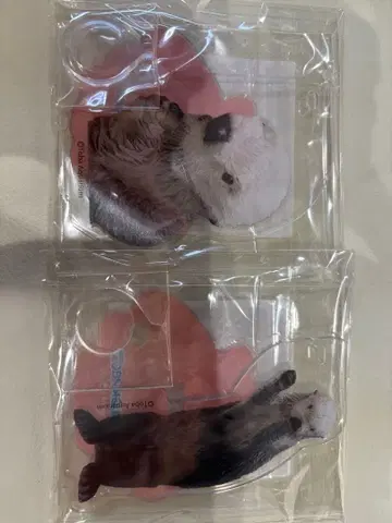 캡슐 복권 x 토바 수족관 랏코 메이짱 복권 펜 스탠드 메이짱 세트