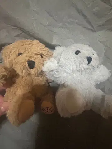 트래버스 도쿄 곰 봉제 인형 마스코트 2개 세트