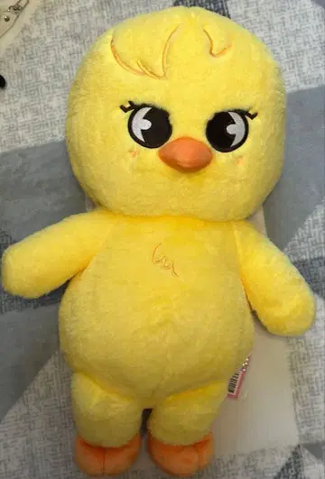 스키즈 SKZOO PLUSH 테디베어 포가리