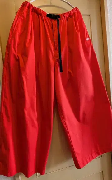 벽돌색 Dickies 카고 팬츠