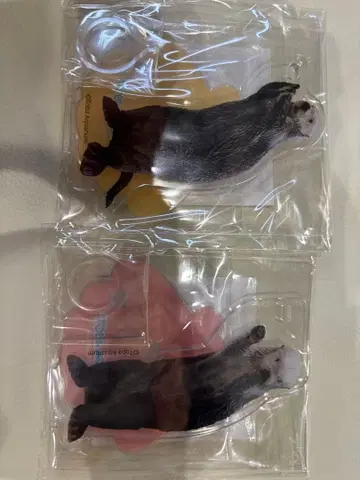 캡슐 복권 x 토바 수족관 랏코 메이짱 복권 펜 스탠드 2개 세트