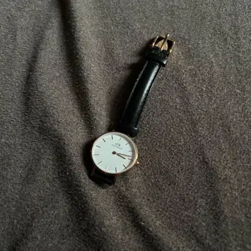 다니엘 웰링턴 손목시계