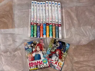 환생한 대성녀는 성녀임을 숨긴다 1~12권