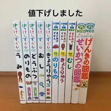 학켄 발견도감 소학관의 도감NEO 창문 열기 도감 영어 포함 프레NEO
