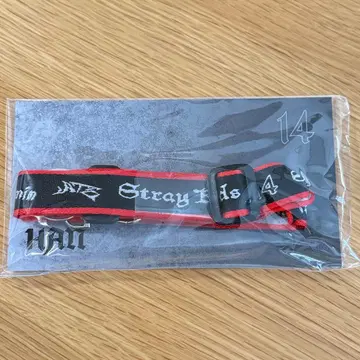 straykids HAN 넥스트랩 한 에코파 dominATE