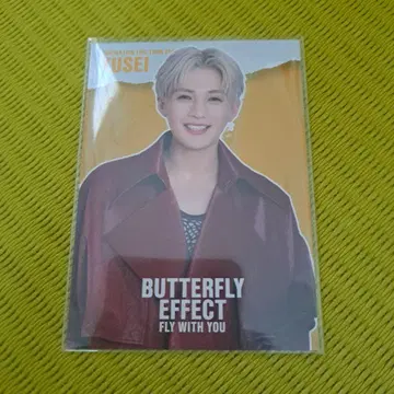 야기 유세이 포토 카드