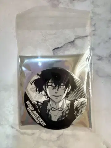 WIND BREAKER 아키도 야마토 원작 만화컷 캔뱃지