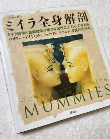 미라 전신 해부