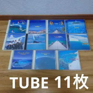 묶음 판매 TUBE 앨범 세트 11장