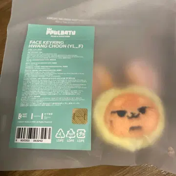 TXT 뿔바투 팬춘 페이스 키링