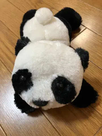 팬더 봉제 인형/시라하마 어드벤처 월드