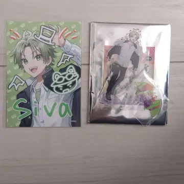 컬러풀 피치 할로윈 시바 씨