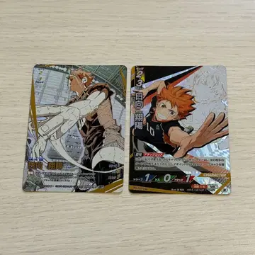 하이큐!! 바보카 히나타 쇼요