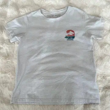 [ 사용감 있음 ] 파타고니아 파타고니아 T셔츠 하와이 한정판 S사이즈