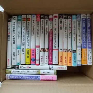 BL 소설 묶음 판매 21권