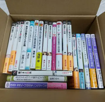 BL 소설 묶음 판매 21권