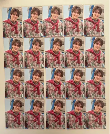 SHOW-WA 무카이야마 타케시 트레이딩 카드 20장 세트