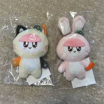 SEVENTEEN 봉봉이 고양이 토끼