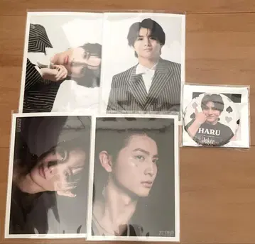 초특급 하루 브로마이드 캔뱃지