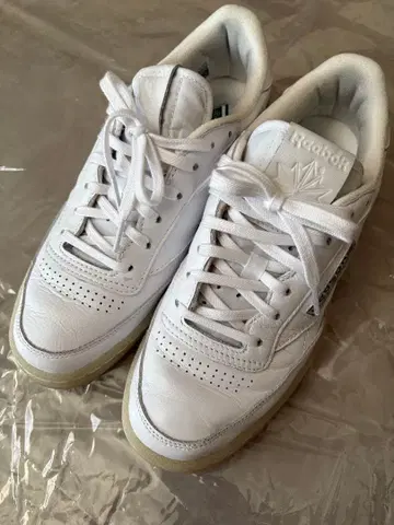 Reebok 리복 CLUB C 40주년 기념 모델