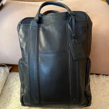 가죽 백팩, 백팩