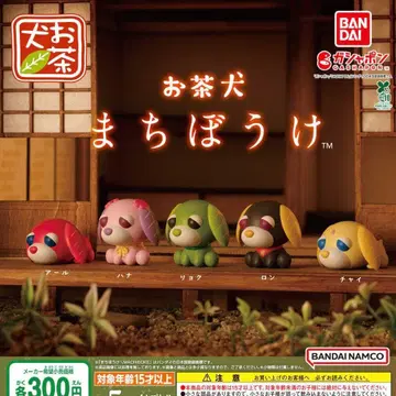 오차이누 기다림 전 5종 세트