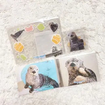 카프복권 토바 수족관 랏코의 메이짱 복권 키라 B상 E상 포토 프레임