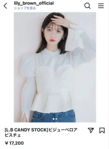 LILY BROWN 비쥬 벨로아 뷔스티에