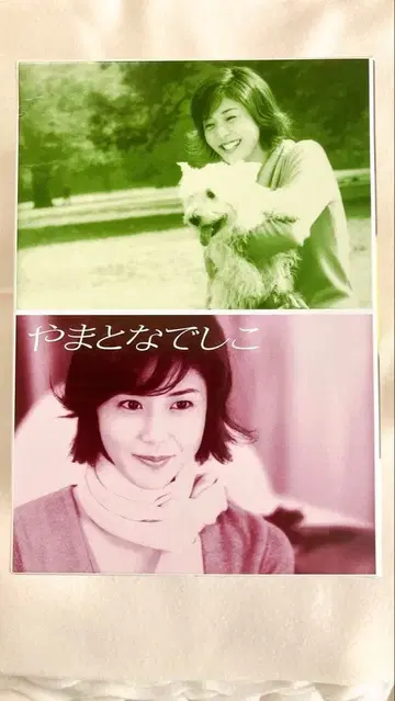 야마토 나데시코 DVD 전권 박스 세트 월 9 인기 드라마