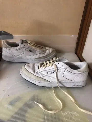 reebok classic x 1LDK 21ss club c 25.5cm