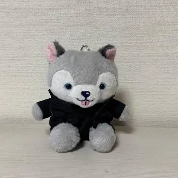 노키도아 도리견 봉제 인형 마츠무라 호쿠토