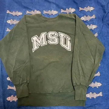 챔피온 리버스 위브 90s L