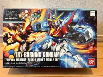 HG 트라이 버닝 건담