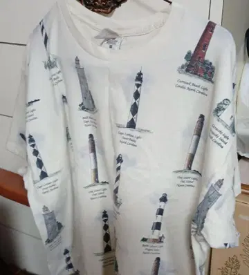 초 레어! 프루트 오브 더 룸의 T셔츠 미시간 러그