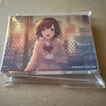 프로세카 프로젝트 세카이 노블 아트 컬렉션 로워 시노노메 에나