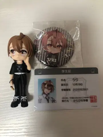 카라피치 묶음 판매