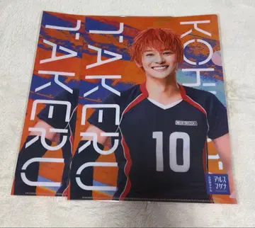 아루스마그나 코히나타 타케루