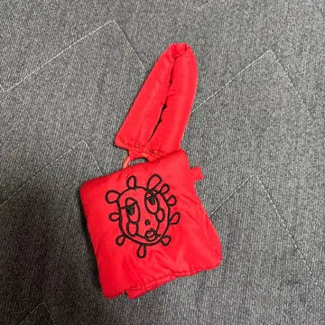 TWICE 채영 AirPods 케이스