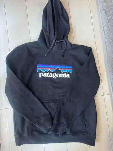 가격 인하 가능! patagonia 후드 부착 후드티