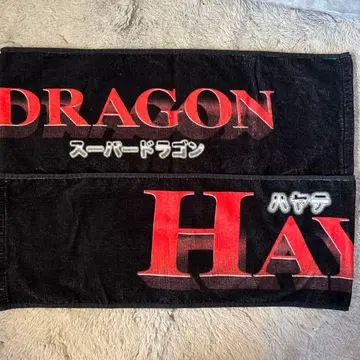 스파드라 이이지마 하야테 타월