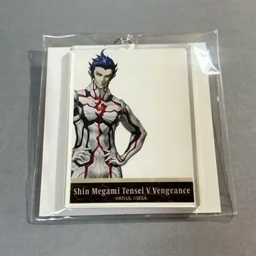 진 여신전생 도쿄 타워 사진 프레임 아크릴 키링 아오가미